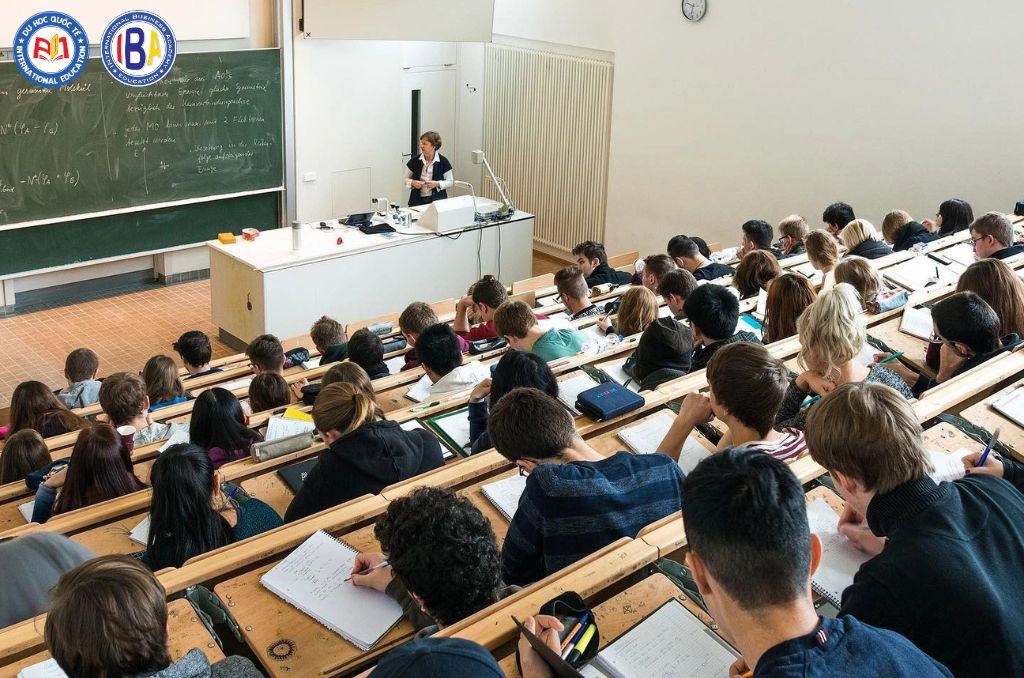 Lộ trình tiếng và định hướng nghề