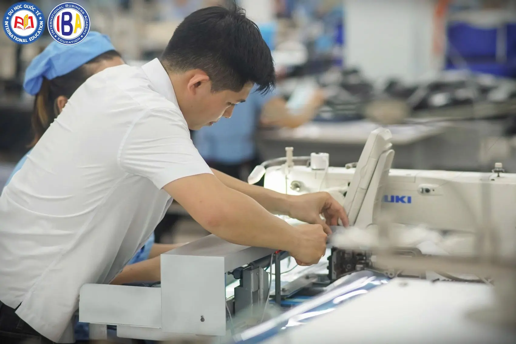Cách tính điểm thi ECL